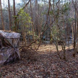 Photo #25 of SOLD property in Off Western Mill Road, Lawrenceville, VA 36.2 acres