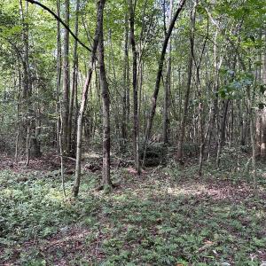 Photo #12 of SOLD property in Off Hwy 50, Rose Hill, NC 8.5 acres