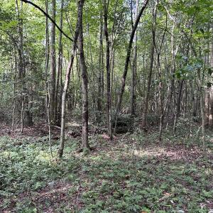 Photo #12 of Off Hwy 50, Rose Hill, NC 8.5 acres