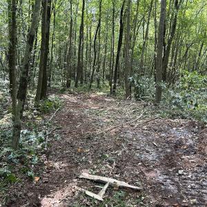 Photo #14 of SOLD property in Off Hwy 50, Rose Hill, NC 8.5 acres