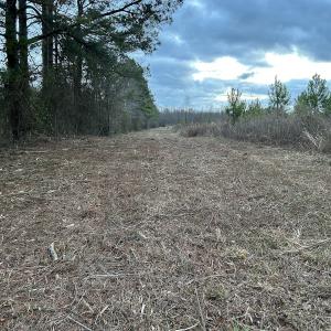 Photo #16 of SOLD property in Off Hwy 50, Rose Hill, NC 8.5 acres