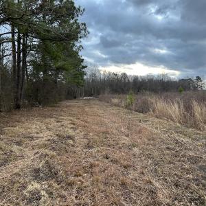 Photo #17 of SOLD property in Off Hwy 50, Rose Hill, NC 8.5 acres