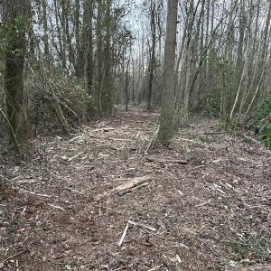 Photo #19 of SOLD property in Off Hwy 50, Rose Hill, NC 8.5 acres