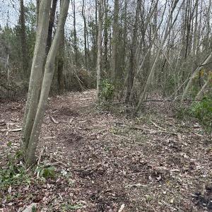 Photo #22 of SOLD property in Off Hwy 50, Rose Hill, NC 8.5 acres