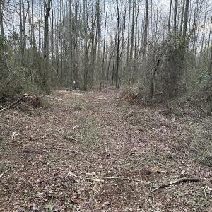 Photo #23 of SOLD property in Off Hwy 50, Rose Hill, NC 8.5 acres