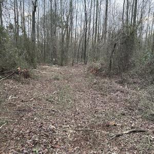 Photo #23 of Off Hwy 50, Rose Hill, NC 8.5 acres