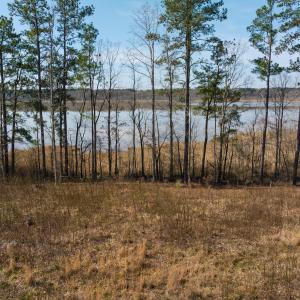 Photo #4 of Off Old Gaston Extended, Gaston, NC 4.5 acres