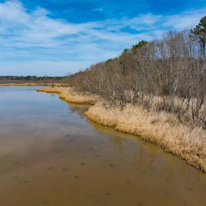 Photo #11 of Off Old Gaston Extended, Gaston, NC 4.5 acres