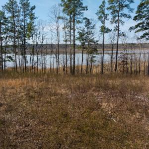 Photo #17 of Off Old Gaston Extended, Gaston, NC 4.5 acres