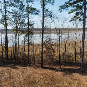 Photo #23 of Off Old Gaston Extended, Gaston, NC 4.5 acres