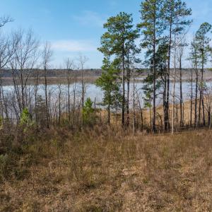 Photo #31 of Off Old Gaston Extended, Gaston, NC 4.5 acres
