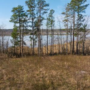 Photo #37 of Off Old Gaston Extended, Gaston, NC 4.5 acres