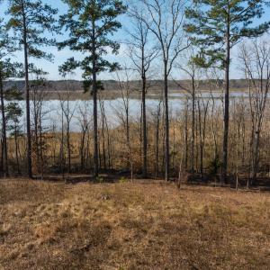 Photo #49 of Off Old Gaston Extended, Gaston, NC 4.5 acres
