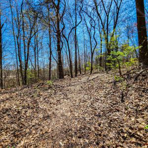 Photo #11 of Off S Research Pkwy, Winston Salem, NC 3.0 acres