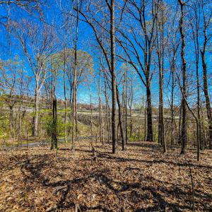 Photo #12 of Off S Research Pkwy, Winston Salem, NC 3.0 acres