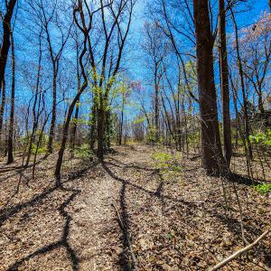 Photo #13 of Off S Research Pkwy, Winston Salem, NC 3.0 acres