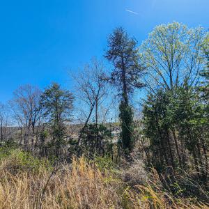 Photo #20 of Off S Research Pkwy, Winston Salem, NC 3.0 acres