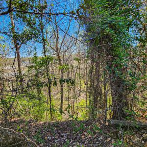 Photo #22 of Off S Research Pkwy, Winston Salem, NC 3.0 acres