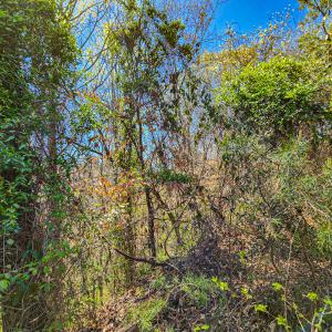 Photo #23 of Off S Research Pkwy, Winston Salem, NC 3.0 acres