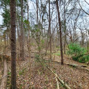 Photo #16 of Off Ebert Rd, Winston Salem, NC 8.8 acres