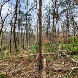 Photo #18 of Off Ebert Rd, Winston Salem, NC 8.8 acres