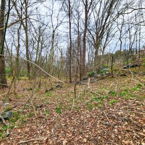 Photo #25 of Off Ebert Rd, Winston Salem, NC 8.8 acres
