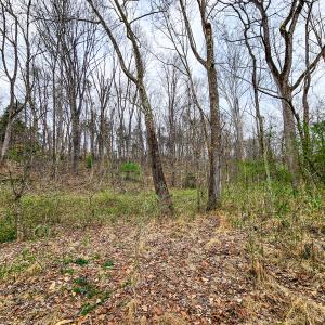 Photo #27 of Off Ebert Rd, Winston Salem, NC 8.8 acres