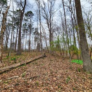 Photo #41 of Off Ebert Rd, Winston Salem, NC 8.8 acres