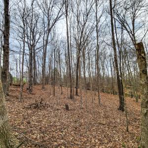 Photo #43 of Off Ebert Rd, Winston Salem, NC 8.8 acres