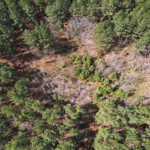 Photo #10 of SOLD property in Off Clinton Rd, Nathalie, VA 21.3 acres