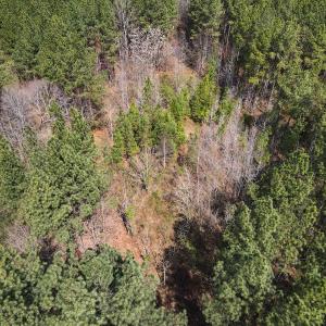 Photo #11 of SOLD property in Off Clinton Rd, Nathalie, VA 21.3 acres