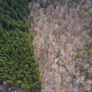 Photo #14 of SOLD property in Off Clinton Rd, Nathalie, VA 21.3 acres