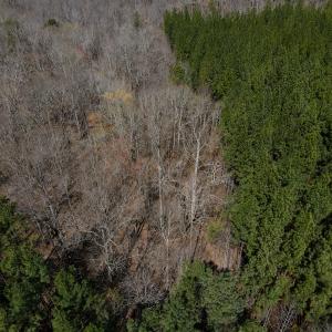 Photo #20 of SOLD property in Off Clinton Rd, Nathalie, VA 21.3 acres