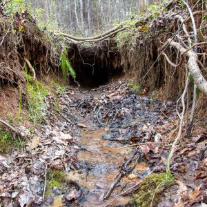 Photo #21 of SOLD property in Off Clinton Rd, Nathalie, VA 21.3 acres