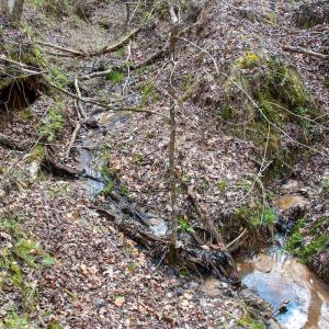 Photo #22 of SOLD property in Off Clinton Rd, Nathalie, VA 21.3 acres