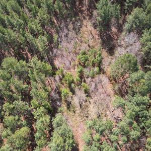Photo #23 of SOLD property in Off Clinton Rd, Nathalie, VA 21.3 acres