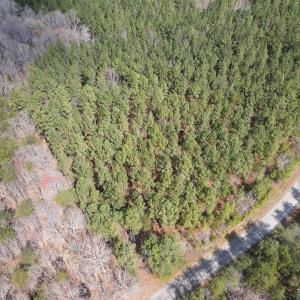 Photo #24 of SOLD property in Off Clinton Rd, Nathalie, VA 21.3 acres