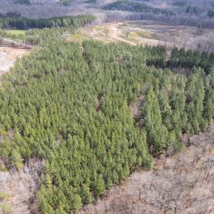 Photo #31 of SOLD property in Off Clinton Rd, Nathalie, VA 21.3 acres