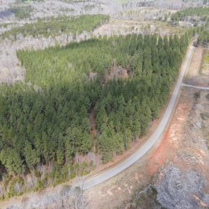 Photo #33 of SOLD property in Off Clinton Rd, Nathalie, VA 21.3 acres