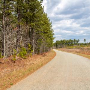 Photo #4 of SOLD property in Off Clinton Rd, Nathalie, VA 21.3 acres