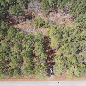 Photo #5 of SOLD property in Off Clinton Rd, Nathalie, VA 21.3 acres