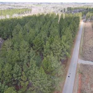 Photo #6 of SOLD property in Off Clinton Rd, Nathalie, VA 21.3 acres
