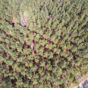 Photo #8 of SOLD property in Off Clinton Rd, Nathalie, VA 21.3 acres