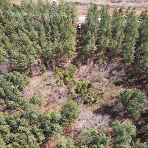 Photo #9 of SOLD property in Off Clinton Rd, Nathalie, VA 21.3 acres