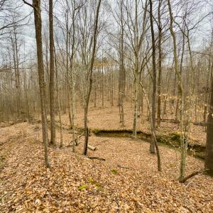 Photo #4 of SOLD property in Off Rice Road, Reidsville, NC 40.0 acres