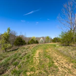Photo #5 of SOLD property in Off Rice Road, Reidsville, NC 40.0 acres
