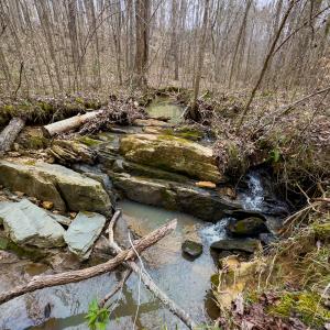 Photo #6 of SOLD property in Off Rice Road, Reidsville, NC 40.0 acres