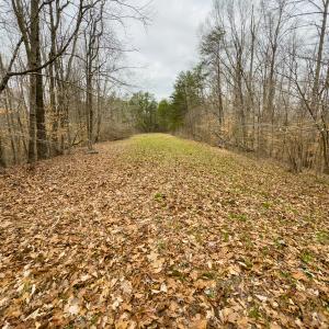 Photo #10 of SOLD property in Off Rice Road, Reidsville, NC 40.0 acres