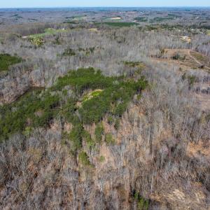 Photo #11 of SOLD property in Off Rice Road, Reidsville, NC 40.0 acres