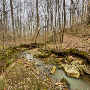 Photo #16 of SOLD property in Off Rice Road, Reidsville, NC 40.0 acres